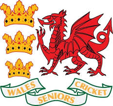 Wales Seniors Cricket logo
